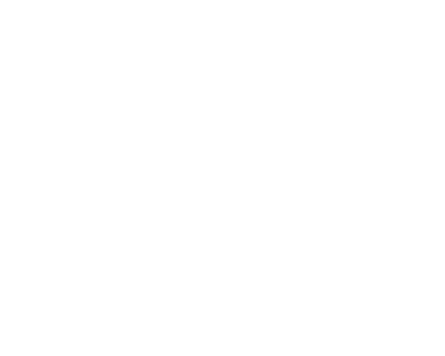 Top Auto Repair Shop in Sunnyvale